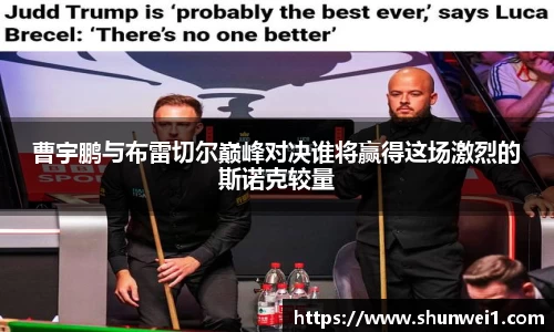 333体育app