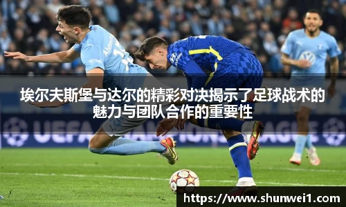 333体育官网