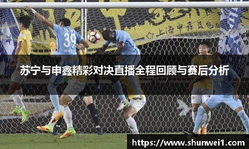 333体育官网