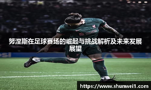 努涅斯在足球赛场的崛起与挑战解析及未来发展展望