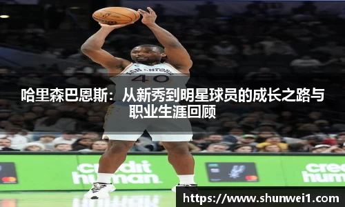 333体育平台