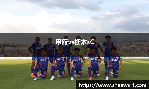 甲府vs枥木sC