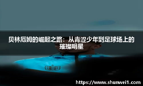 333体育